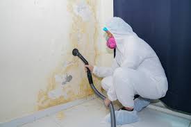 Best Mold Removal for HVAC Installations  in Cheverly, MD